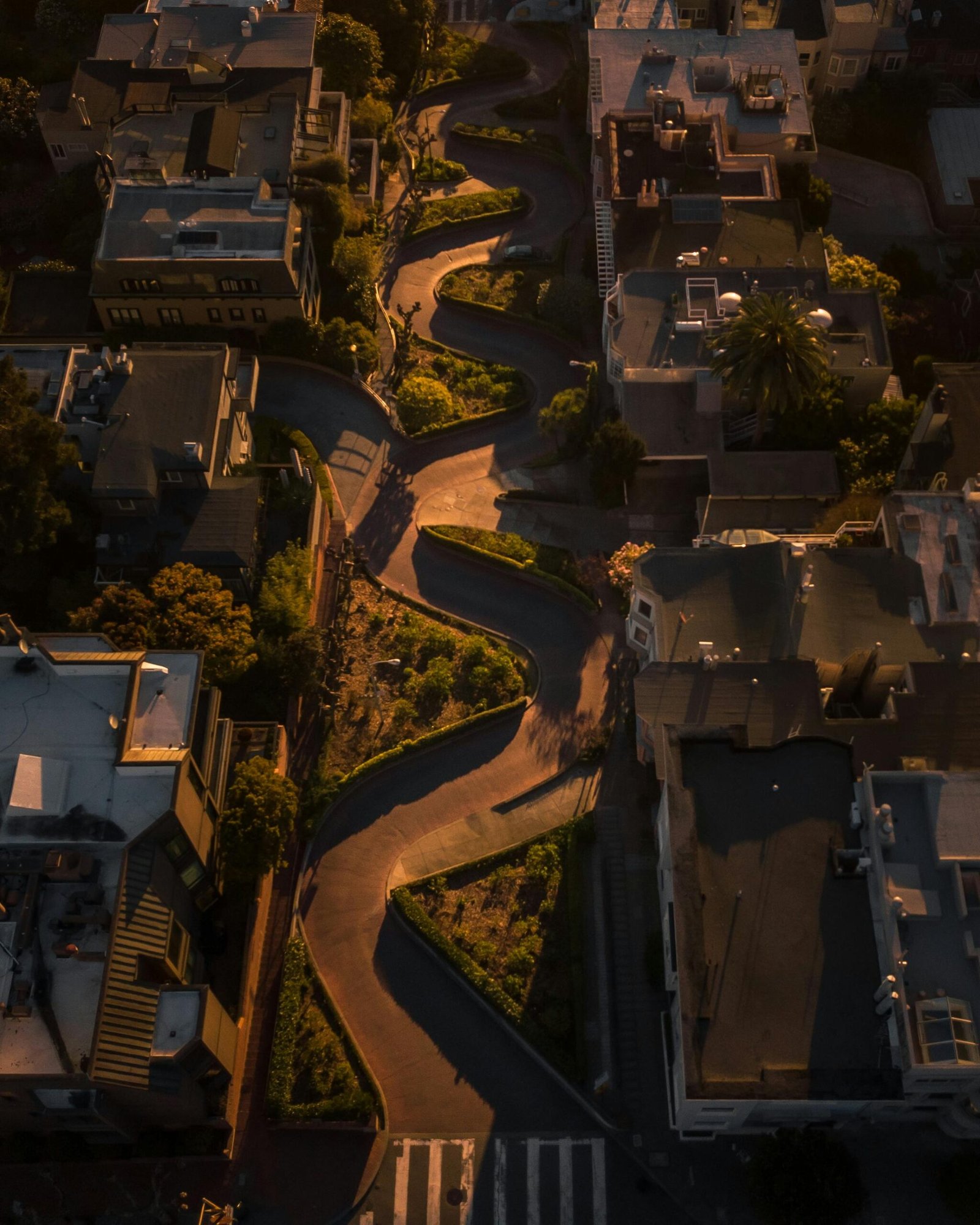 flights from London to San Francisco, Aerial view of Lombard Street at sunrise in San Francisco. Iconic winding road among houses and greenery.