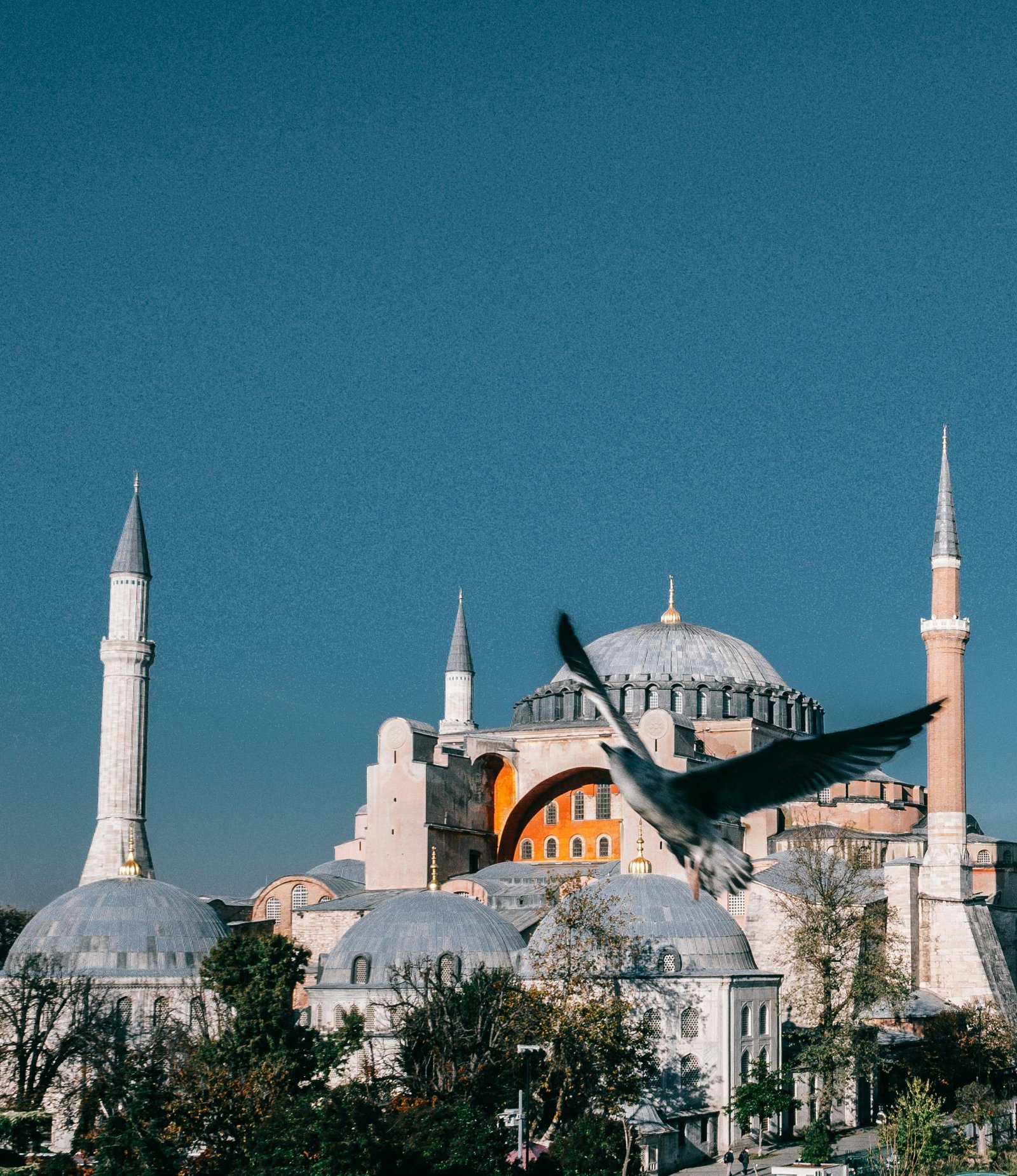 Cheap flights to Istanbul from London, Picturesque aged Hagia Sophia cathedral with dome and minarets located in Istanbul against blue sky with flying bird in city